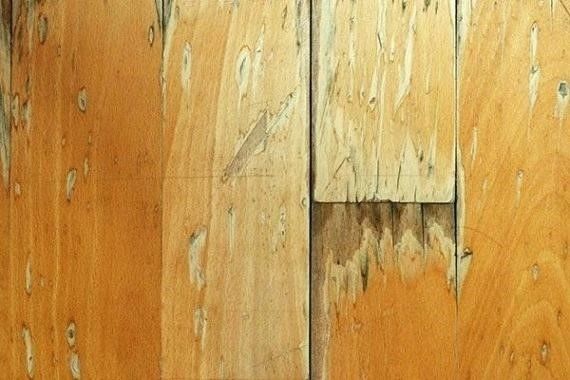 Parquet Flooring, How To Fix Sun Damaged Hardwood Floors